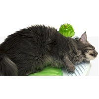 Catit Senses 2.0 Wellness Centre for Cats with Catnip image 2