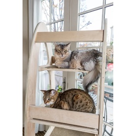 Contour Modern Wooden Cat Climbing Tower image 2
