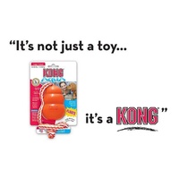 KONG Aqua Classic Shape Fetch Dog Toy on a Rope - Large image 2