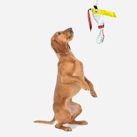 Aussie Dog Standard Bungie Chook Hanging Dog Toy image 2