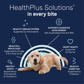CANIDAE PURE Foundations Puppy Grain Free Formula with Fresh Chicken Dry Dog Food 1.8kg image 2