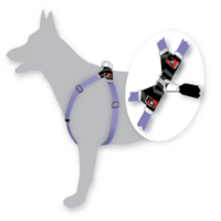 Black Dog Original Step-in Dog Halter Harness image 2