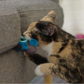 Doc & Phoebe's Interactive Indoor Hunting Cat Snacker - Single image 2