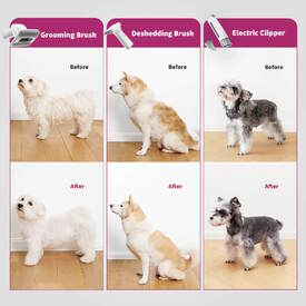 Petkit AirClipper 5-in-1 Pet Grooming Kit - Brushing, Trimming and Vacuum image 2