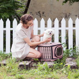 Ibiyaya Collapsible Travelling Pet Carrier for Cats & Dogs - Stardust image 2