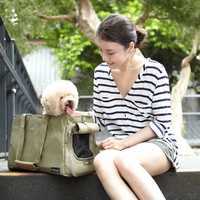 Ibiyaya Canvas Pet Carrier Tote for Cats & Dogs - Light Green image 2