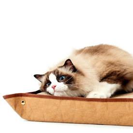 Ibiyaya Plateau Cat Scratcher with Replaceable Cardboard Insert image 2