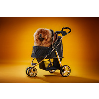 Ibiyaya "Monarch" Premium Pet Jogger Stroller - Luxury Gold image 2