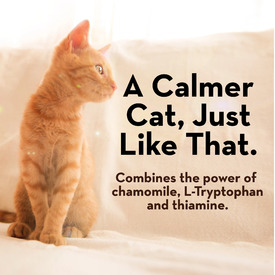Thunderwunders Calming Chews for Stressed and Anxious Cats 180g image 2