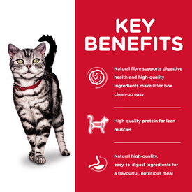 Hills Science Diet Adult Indoor Dry Cat Food image 2