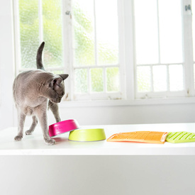 LickiMat Buddy Original Slow Food Licking Mat for LARGE Dogs - Green image 2