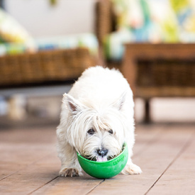 LickiMat Wobble Slow Feeder Boredom Buster Dog Food Bowl - Orange image 2