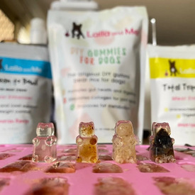 Laila & Me DIY Probiotic Gummi Mix Powder or Gummy Kit for Dogs image 2