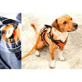 MAX & MOLLY MATRIX 2.0 ULTRA LED SAFETY LIGHT image 2