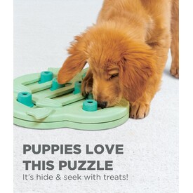 Nina Ottosson Hide & Slide Interactive Puzzle Dog Toy for Puppies - Level 2 image 2