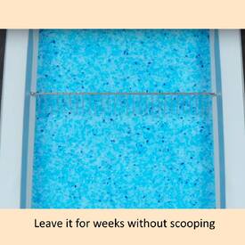 The Scoopfree 2nd Generation Automatic Self-Cleaning Cat Litter Box - New & Improved image 2