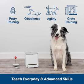 Petsafe Teach and Treat Remote Reward Dog Trainer Treat Dispenser image 2