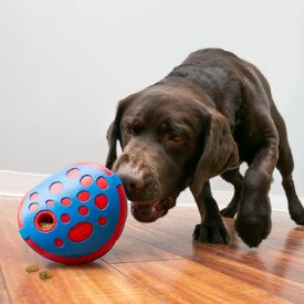 KONG Rewards Wally Interactive Food Dispender Dog Slow Food Bowl image 2