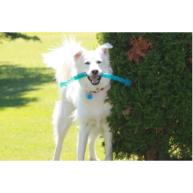 KONG Safestix Stick Alternative Fetch Stick Dog Toy - Large - 3 Unit/s image 2
