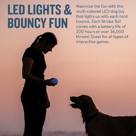 Planet Dog Orbee-Tuff Flashing Strobe Ball Dog Toy - Glow in the Dark image 2