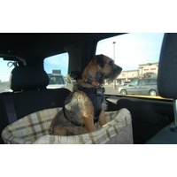 Petsafe Happy Ride (prev. Solvit) Quilted Jumbo On-Seat Booster Safety Seat for Dogs image 2
