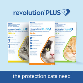 Revolution PLUS Flea, Worm & Tick Topical Prevention for Adult Cats 6-Pack image 2