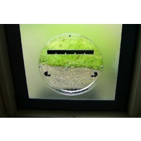 Transcat Clear Cat Door Small 4-Way Locking Door - 180mm Flap Width image 2