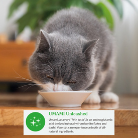 Inaba Cat Food Dashi Delights Chicken & Salmon Flakes in Dashi Broth - 6 cups x 70g image 2