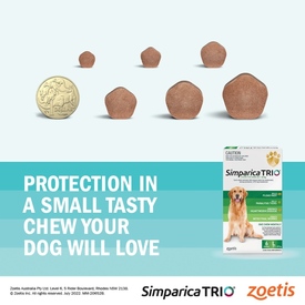 Simparica Trio Flea, Tick & Heartworm Chew for Medium Dogs 10.1-20kg - 3-Pack image 2