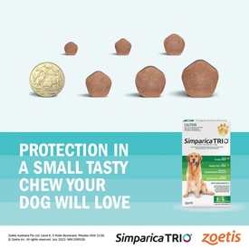 Simparica Trio Flea, Tick & Heartworm Chew for Puppy Dogs 2.6-5kg - 3-Pack image 2