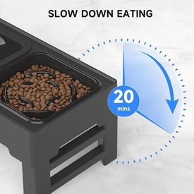 All Fur You Raised Food Stand Slow Feeder Assorted | Improved Digestion image 2
