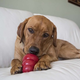 KONG Stuff'n Liver Biscuit Snacks for Small Dogs 200g image 2