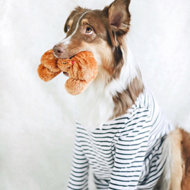 Zippy Paws NomNomz Squeaker Dog Toy - Croissant image 2