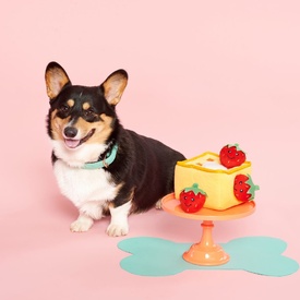 Zippy Paws Burrow Interactive Dog Toy - Strawberry Waffles image 2