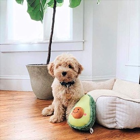 Zippy Paws NomNomz Squeaker Dog Toy - Jumbo Avocado image 2