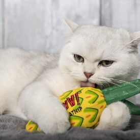 Yeowww! Cat Toys with Pure American Catnip - Pineapple image 2