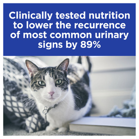 Hills Prescription Diet c/d Multicare Stress Urinary Care Dry Cat Food 7.98kg image 2