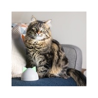 Sure Petcare Sureflap Microchip Connect Cat Door (with HUB) - Door + HUB image 2