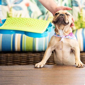 Lickimat Original Slow Food Licking Mats for Dogs - Special Duo Pack image 2