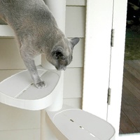 Monkee Tree - The Scalable Cat Climbing Ladder - 3 Branch Kit image 2