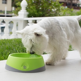 Oh Bowl Slow Food Tongue Cleaning Dog Food Bowl - Green image 2