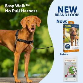 Petsafe Easy Walk Front-Attachment No-Pull Dog Harness image 2
