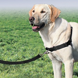 Petsafe Easy Walk Front-Attachment Harness and Lead Set image 2
