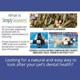 Simply Seaweed Natural Dental Health Care for Cats & Dogs - 1.5kg image 2