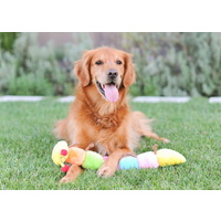 Zippy Paws Long Caterpillar 6 Squeakers Plush No Stuffing Dog Toy image 2
