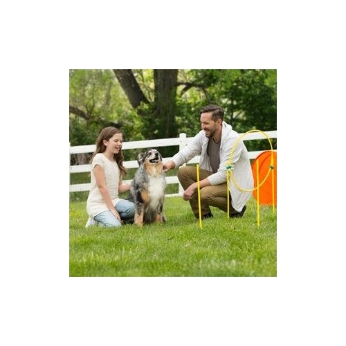 Outward Hound ZipZoom Outdoor Agility Kit for Dogs image 3