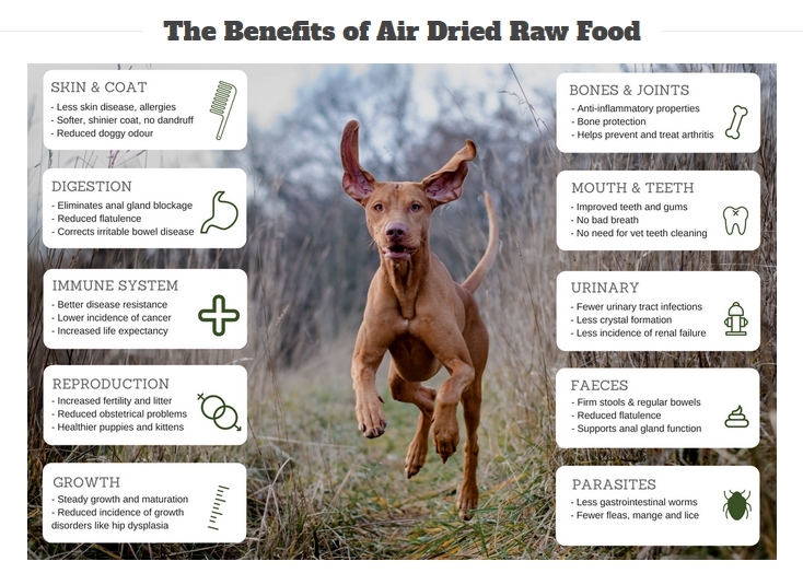 Balanced Life Air Dried Grain Free Single Protein Grain Free  Dog Food - Chicken 200g/1kg/3.5kg image 3