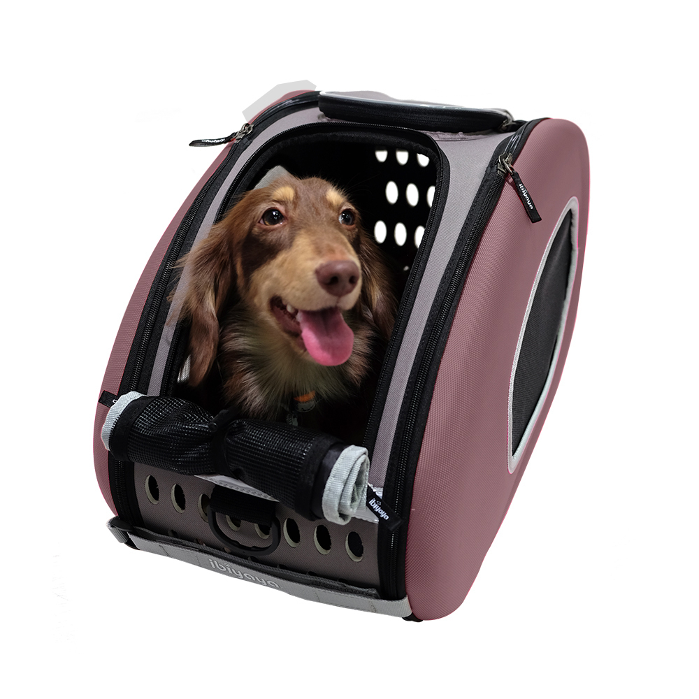 Ibiyaya Convertable Pet Carrier with Wheels - Chocolate image 3