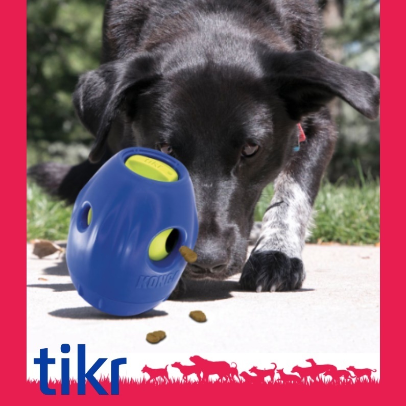 2 x KONG Tikr Time Release Interactive Dog Food & Treat Dispenser - Large image 3