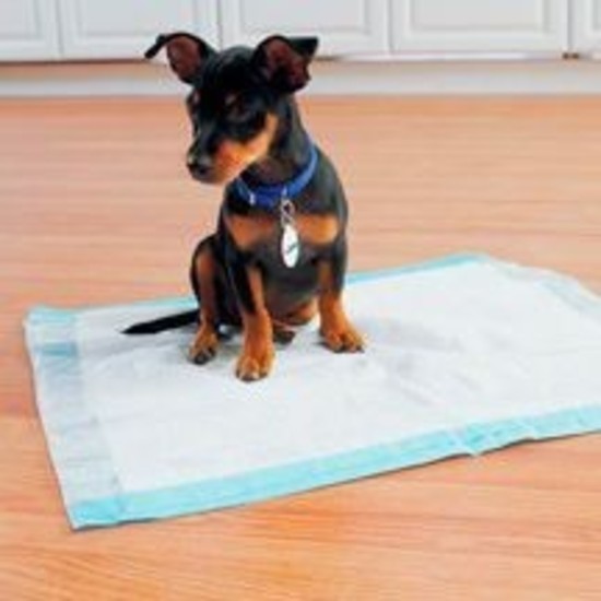 Dog potty pads Spotty Indoor Dog Potty Pads